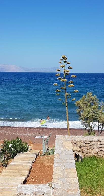 Almyra Kythera room 5